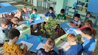 Групповое занятие в детском саду №5