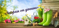«Лайфхак от дачника»