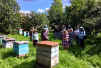 Экскурсия на пасеку в д. Федорище