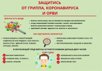 Защитись от гриппа, коронавируса и орви