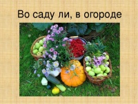 Социальный проект «Во саду ли, в огороде»