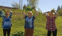 Укрепляем иммунитет летом