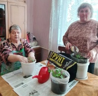 Огород на окне