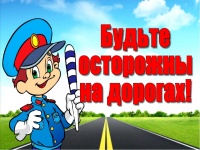 «Правила поведения пешеходов на дорогах»