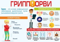 «Школа безопасности» тема «Профилактика гриппа»