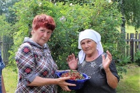 Сладку ягоду я рвала