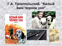 "13 ноября - Всемирный День доброты"