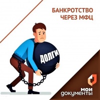 КАК ОФОРМИТЬ БАНКРОТСТВО ЧЕРЕЗ МФЦ БЕЗ СУДА И ГОСПОШЛИНЫ