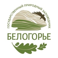 Виртуальная экскурсия по заповеднику «Белогорье» в Белгородской области