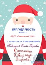 «Новогодний онлайн карнавал»