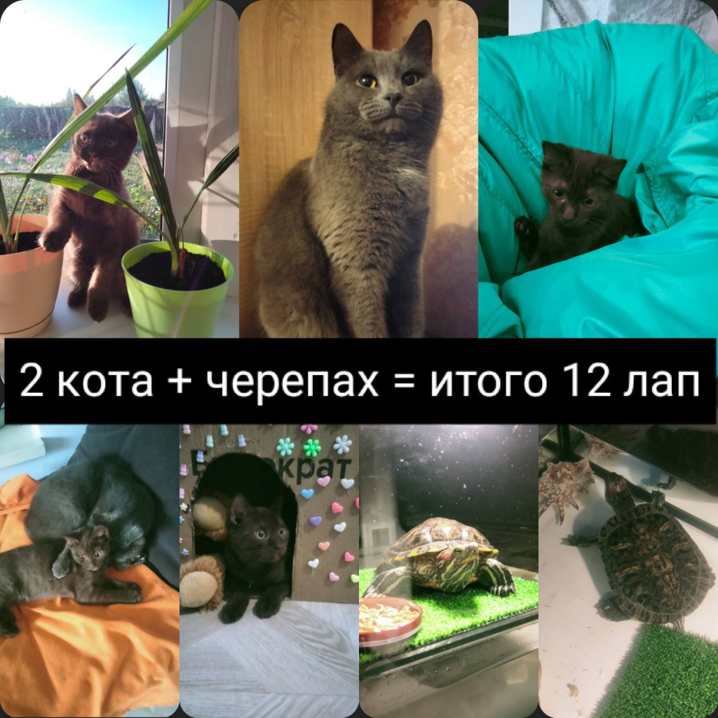 рассудина.jpg