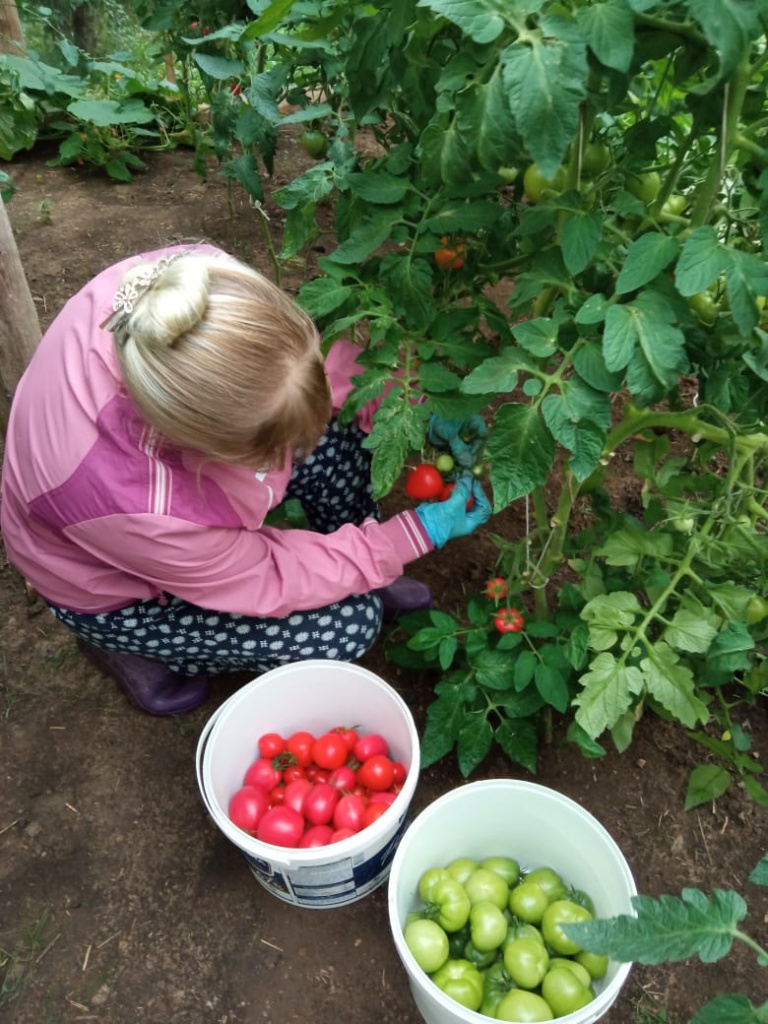 aa80bb24-503e-4ea8-9d1b-a48a9de9cd9d.jpg
