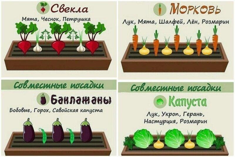 советы.jpg советы.jpg