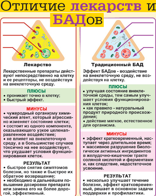 бад.jpg бад.jpg